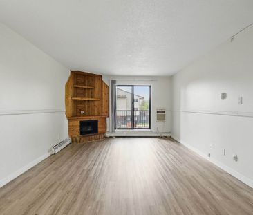 1 Bedroom - Photo 3