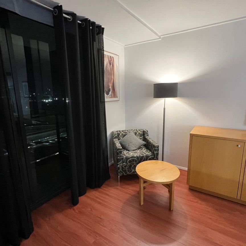 Renovated 1 Bedroom - Lifestyle Fit for Modern Life - Photo 1