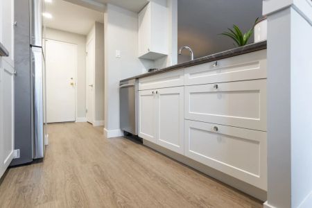 1B Renovated - Photo 4