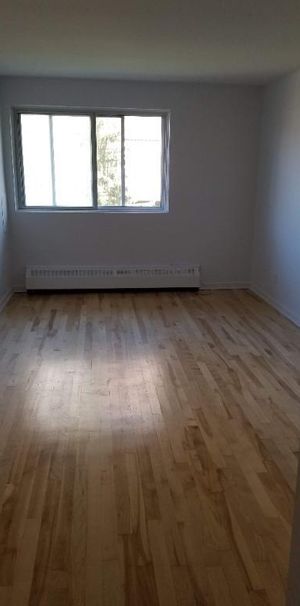 3 1/2 tranquil et spacieux à Saint Lambert - Photo 1