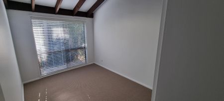 Freshly Updated Home in Quiet Shelly Beach Location - Photo 4