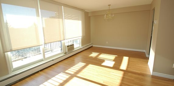 2 bedroom unit close to Cite Collegiale and Ogilvie/Bathgate - Photo 2