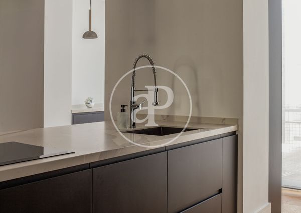 Flat for rent in Castellana (Madrid)