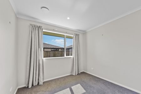 5 Ayrshire Street, Richmond, Tasman - Photo 5