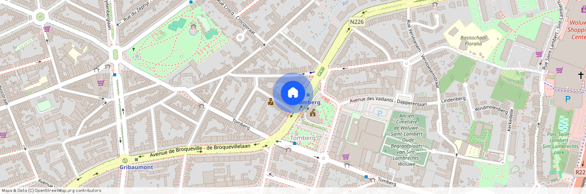 Avenue Paul Hymans, 117, 25, 1200, Woluwe-Saint-Lambert