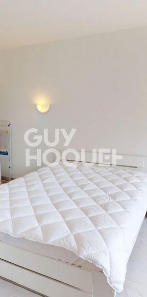 Appartement Meublé 2 pièce(s) 43 m2 - Photo 1