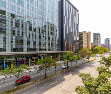 Appartement à louer - Montréal (Ville-Marie) (Centre) - Photo 4