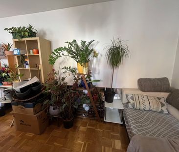 Helle und geräumige Garconniere in der Klosterwiesgasse sehr zentra... - Photo 4