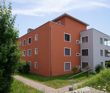2.5 Zimmer-Wohnung in Tagelswangen - Foto 5
