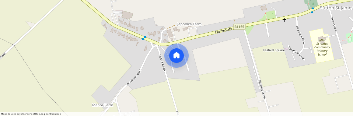 Walnut Close, Sutton St James, sutton st james