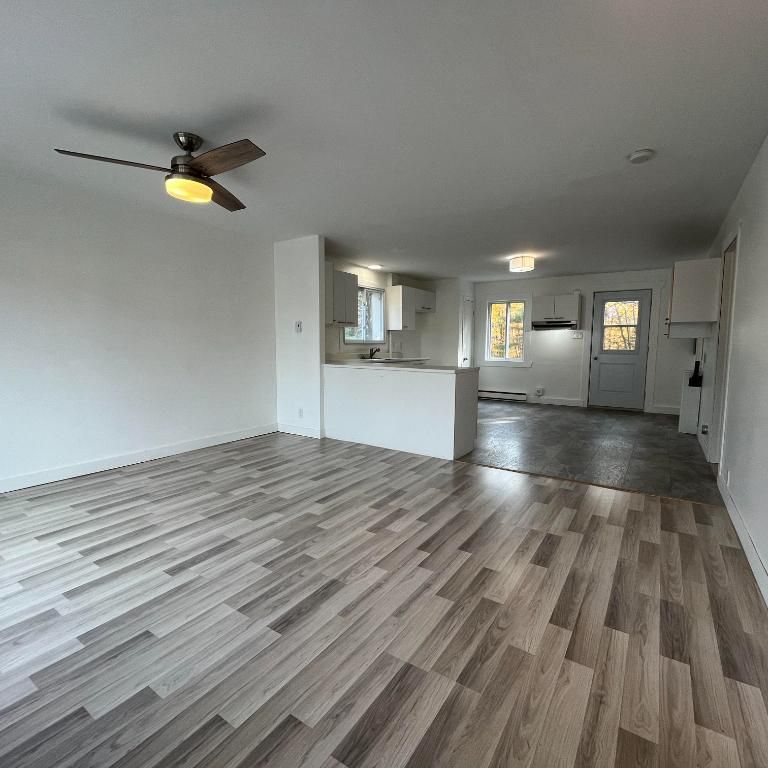 Beau grand 4 et demi lumineux et tranquille - Photo 1