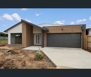 40 Hector Close, Bittern, Vic 3918 - Photo 4