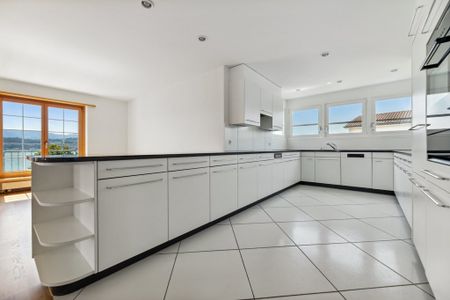 Geniessen Sie den Seeblick und die Abendsonne - Foto 5