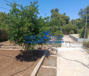 Μονοκατοικία για ενοικίαση Νέα Μάκρη - Photo 6