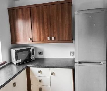 14 Balmoral Mews, Belfast, BT9 6NU - Photo 6