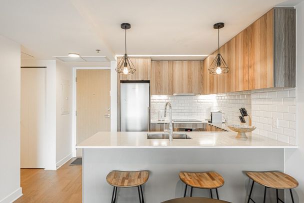 101 Rue Peel condo — Montréal, QC (1-Bedroom) - 1 Bedroom - Photo 1