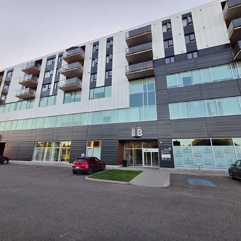 Cession de bail - Condo locatif 4 1/2 + Lévis (Desjardins) ***1 mois gratuit**** Animaux acceptés. - Photo 1