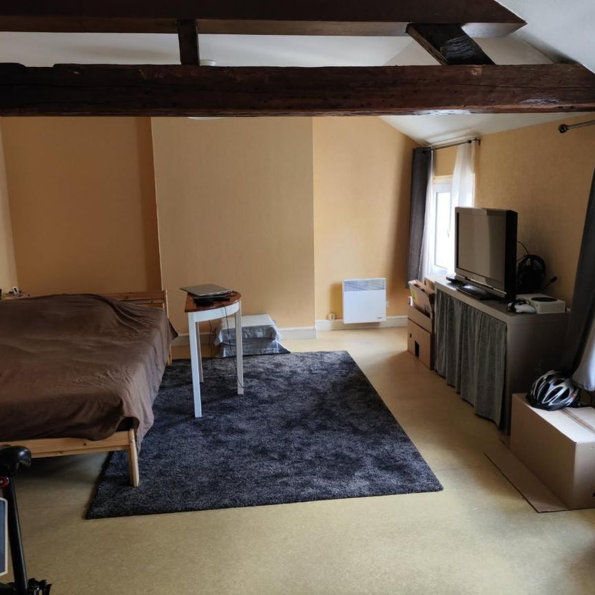 Location Appartement 1 pièce 32m² ANGERS 49100 - Photo 1