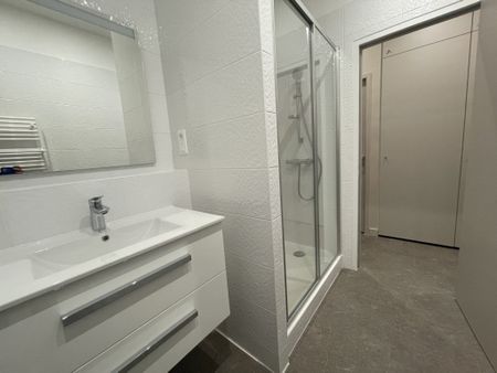 STUDIO A LOUER LYON 1ER ARRONDISSEMENT Griffon-Royale - Photo 5
