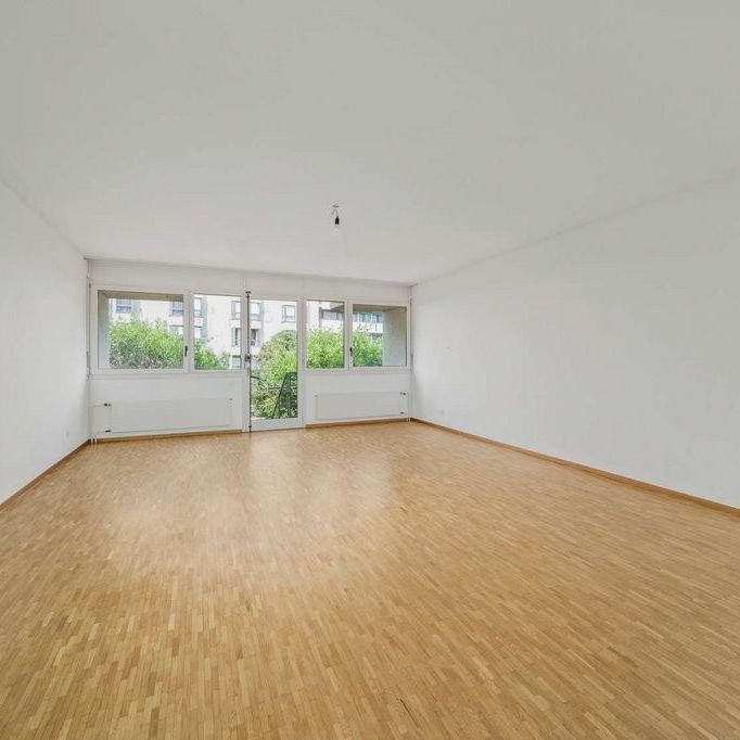 Duplex de 132 m2 avec jardin privatif à Plainpalais - Foto 1