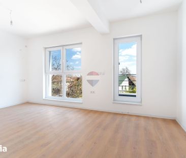 Casă / Vilă cu 5 camere de închiriat în zona Dambul Rotund - Fotografie 1