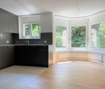 Erstvermietung, lichtdurchflutete Wohnung zu vermieten - Photo 4