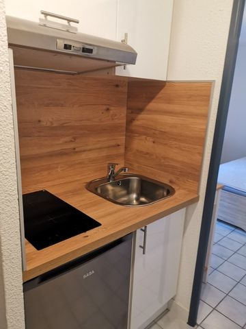 Location Appartement 1 pièce 18m² - Photo 4