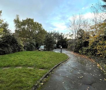 Studio to rent - Photo 6