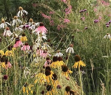 2½ Zimmer-Wohnung in Innerberg (BE), möbliert, auf Zeit - Foto 6