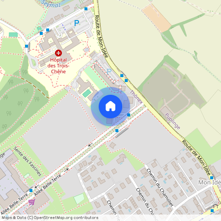 1226, Thônex, Route De Mon-Idée, 49