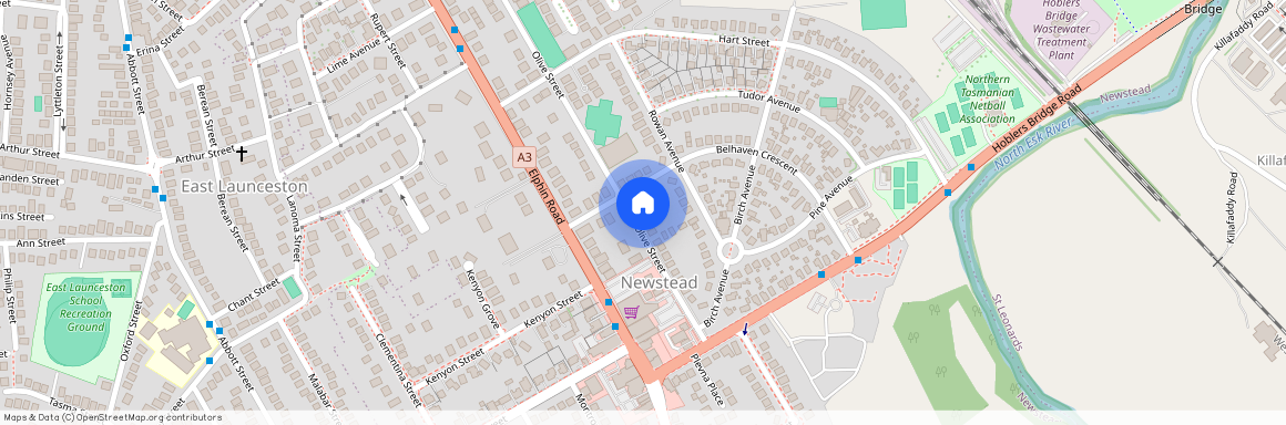 73 Olive St, Tas 7250, Newstead