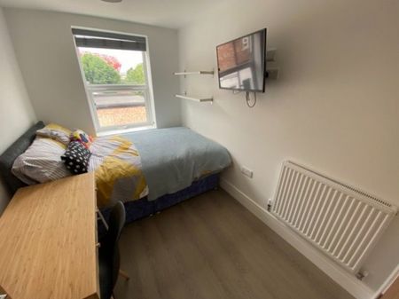 3 bed Apartment for Rent - Photo 5