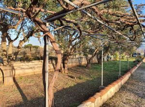 Μονοκατοικία για ενοικίαση - Κορωπί, - Photo 1