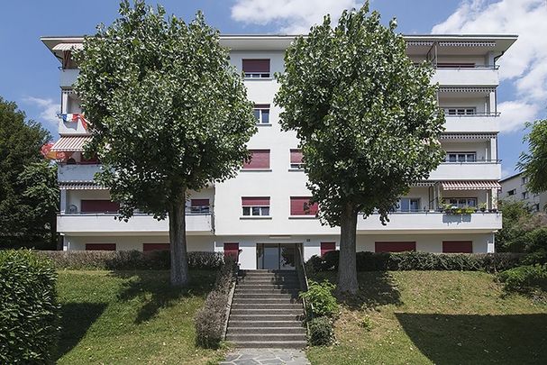 Bel appartement complètement rénové de 3.5 pcs avec vue sur lac - Photo 1