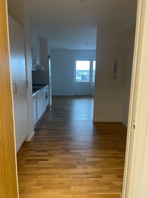 Vallhallavägen, Laholm - Photo 1