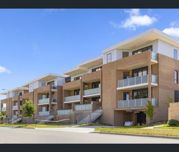 26/22 Cornelius Street, Coombs ACT 2611 - Apartment For Rent | Domain - Photo 4