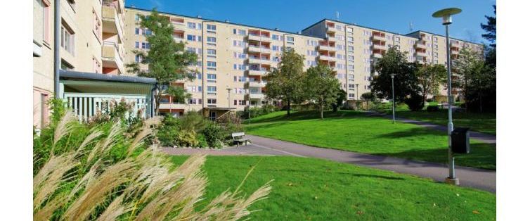 Fjällsippan 6 - Photo 1