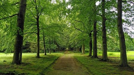 Te huur: Huis Groteweg in Wapenveld - Foto 2