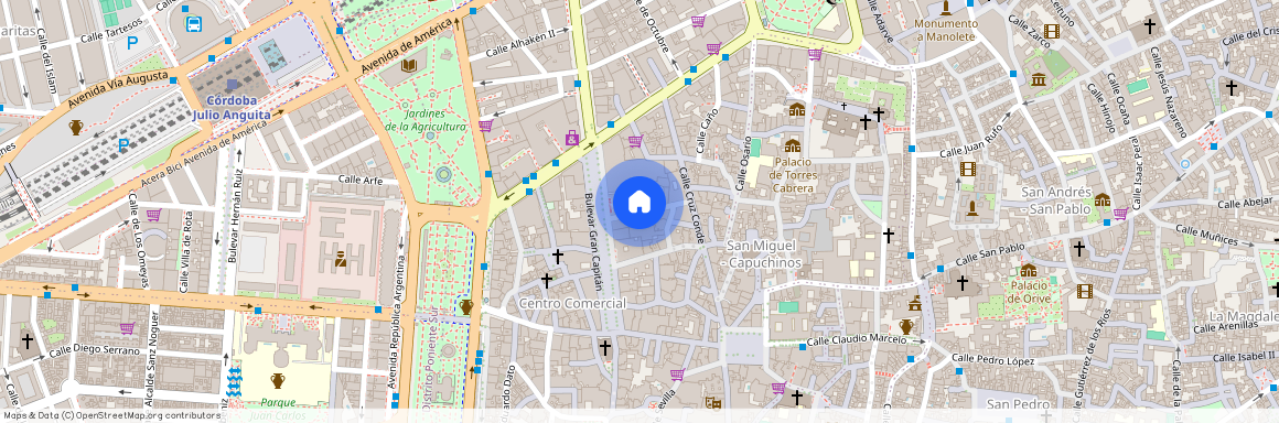 Centro, - Calle Conde de Robledo