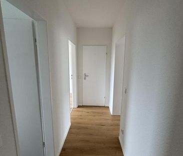 Renovierte 3-Zimmerwohnung in Nord-Holland - Photo 1