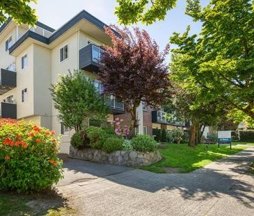 1br - 667 sf KITSILANO - 1 BR + 1 BATH Pet friendly - Photo 4