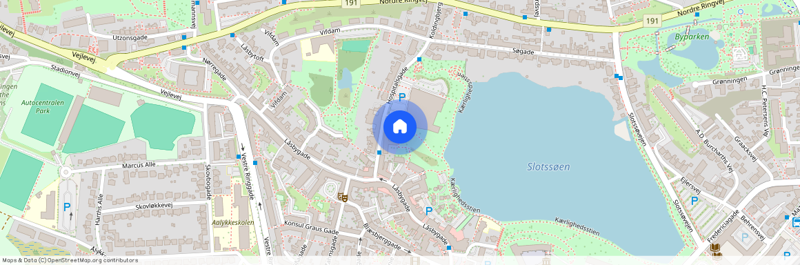 Hospitalsgade 53, st. - lejl.6, 6000, Kolding