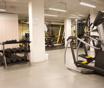 Rue Eleanor, H3C 0T5, Montréal - Photo 6