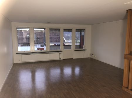 Pilörtsvägen, Fritsla - Foto 2