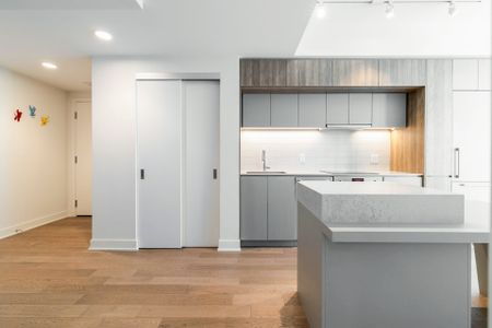 Appartement - 1106-1288 Rue St-Antoine O. - Photo 5