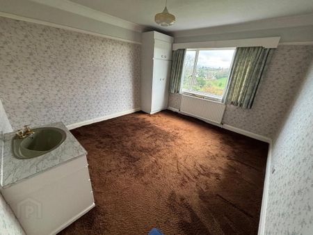 117 Hillsborough Road, Dromore, BT25 1QW - Photo 5