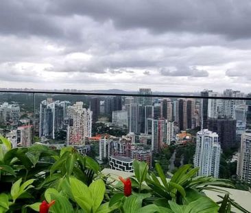 Irwell Hill Residences (D9), Apartment - For Rent - Photo 6