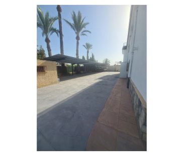 Elche - Photo 6