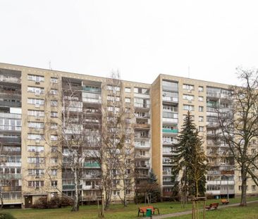 Kawalerka od 1 kwietnia, jasna i cicha! 31 m² - Zdjęcie 4