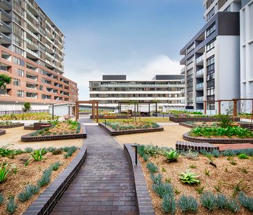 F2.04/41 Flora Street, Kirrawee NSW 2232 - Apartment For Rent | Domain - Photo 4